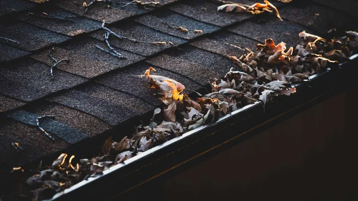 Clogged gutter full of debris before cleaning