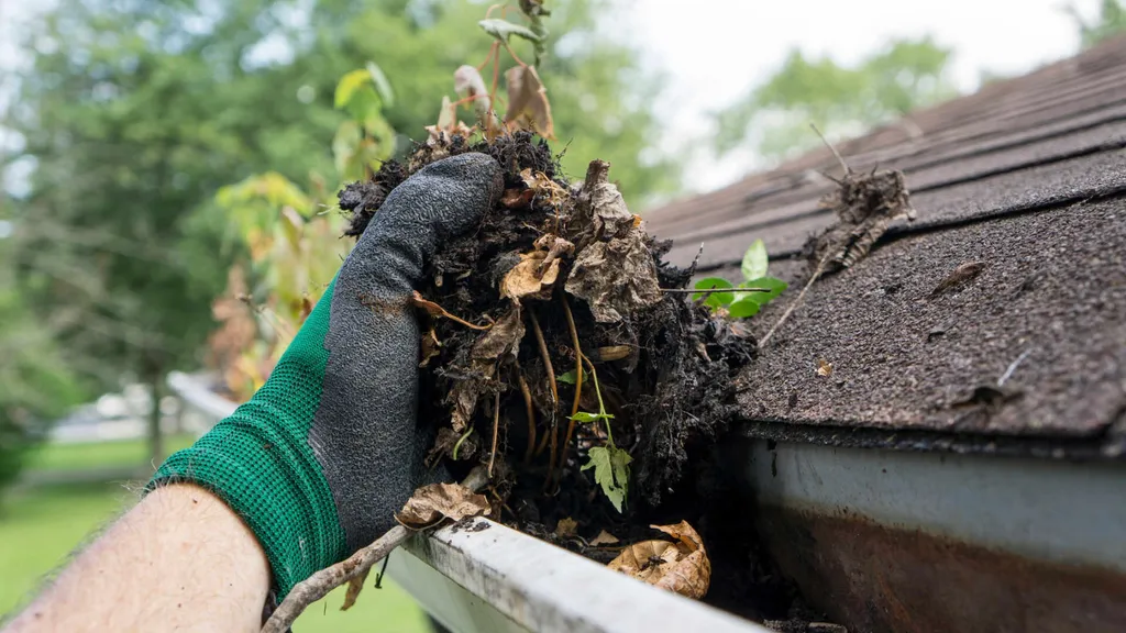 person removing dirt from a gutter